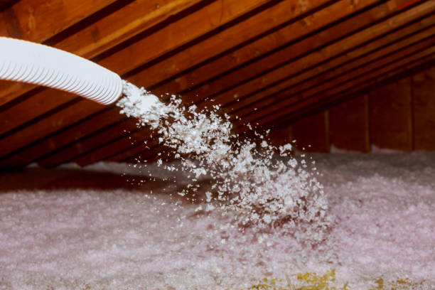 Best Commercial Insulation in Windsor Heights, IA